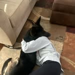 livers - @oliviagrabert - Instagram
