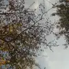 Olivia Graber - @user2877217471423 - TikTok