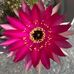 Olivia Granillo Carmona - Facebook