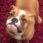 Olivia Griffiths - @griffiths_olivia - Instagram