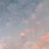 Olivia Gruber505 - @oliviareburg505 - TikTok