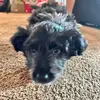 oliviagruber ✞ - @oliviagruber13 - TikTok