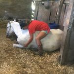 Olivia Guidry - @olivia_guidry100 - Instagram