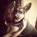 Olivia Gulley - Facebook