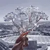 oliviahackett3 - @oliviahackett3 - TikTok
