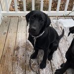 Olivia Haller - @olivia_haller12 - Instagram