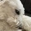 oliviahaman591 - @oliviahaman591 - TikTok