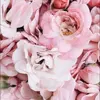 Olivia Hannah - @aesthetically.44 - TikTok