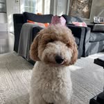 Olivia of Harbor - @bunbun_olivia - Instagram