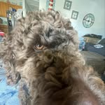Olivia Marie Hardee - @olivia_122989 - Instagram