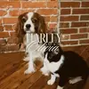 harleynolivia - @harleynolivia - TikTok