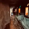 Olivia Harley - @olivia.h612 - TikTok