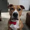 Olivia Hazell - @hercmybaby - TikTok