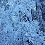 Olivia Heilmann - Facebook