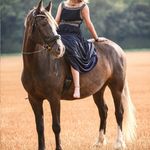 Olivia Hein - @x.finn.my.equine.x - Instagram