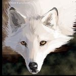 Olivia Hendrickson - @liv_tiv_wolf_girl_ - Instagram