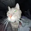olivia - @oliviaherrmann_ - TikTok