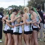 Olivia Hipp - @olivia_hippxc - Instagram