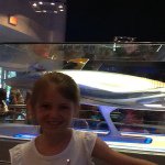 Olivia Hitchen🐱 - @livi_loves_cats2006 - Instagram