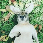 艺清 - @olivia_holiday_ting - Instagram