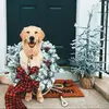 oliviasholiday_ - @oliviasholiday_ - TikTok