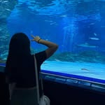 Olivia - @olivia_hong16 - Instagram