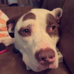 Olivia Hubert - Facebook