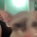 Olivia Inman - Facebook