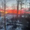 olivia.inmann - @olivia.inmann - TikTok