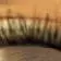 olivia_issa - @olivia_issa6 - TikTok