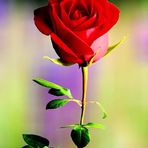 Olivia Jacome - Facebook