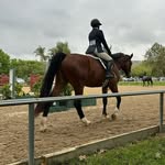 Olivia & Jasper - @oliviasmith_eq - Instagram