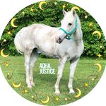 Olivia & Justice - @aqha.justice - Instagram
