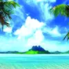 Grupka tt* - @oliviakalka4 - TikTok