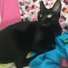 Olivia Kenyon - @olivia.kenyon3 - TikTok