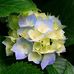 Olivia Kight - Facebook