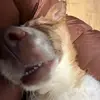 Olivia - @oliviakwanny - TikTok
