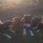 Olivia Lamont - Facebook