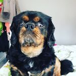 Olivia Lamont - @olivialamont33 - Instagram