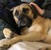 Olivia Esteves Langdon - Facebook