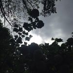 Olivia Large - @photography_liv04 - Instagram
