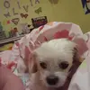 Olivia Latham - @cmecdoolala - TikTok