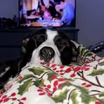 Olivia Leger - Facebook