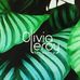 Showroom Olivia Leroy - Facebook