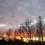 Olivia+Lincoln - @dronepictures115 - Instagram