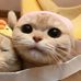 Olivia Loh - Facebook