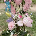 Olivia Longoria - Facebook