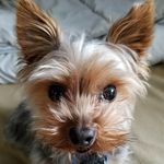 Oliver - @olivia__lowman - Instagram