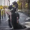 Olivia Lyons - @_olivialyons_ - TikTok