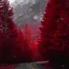 Olivia Machado - @olivia.machado67 - TikTok